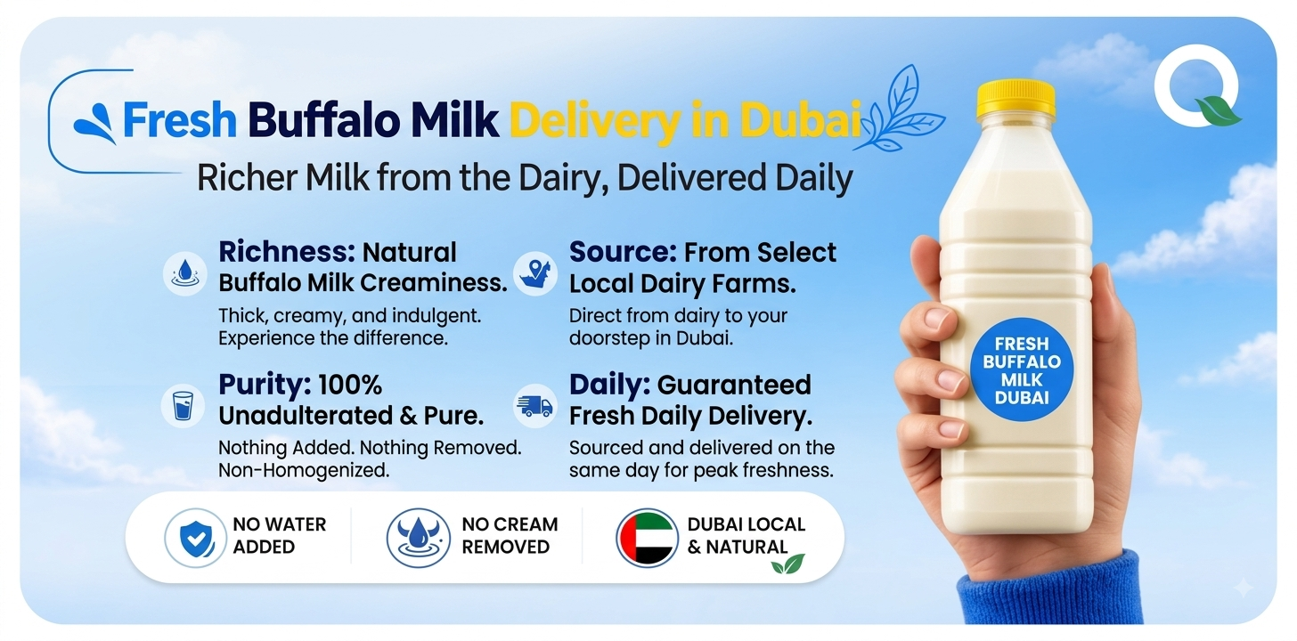 Fresh Buffalo Milk Delivery in Dubai: Richer Milk from the Dairy, Delivered Daily