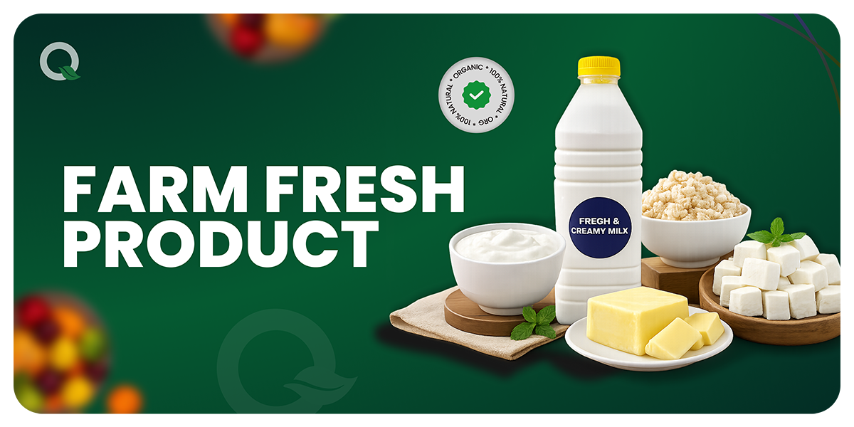 Fresh Cow Milk Delivery in Dubai: Why Same Morning Milk Tastes Different