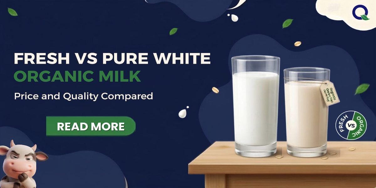 Fresh vs Organic Milk in UAE: What’s the Difference?