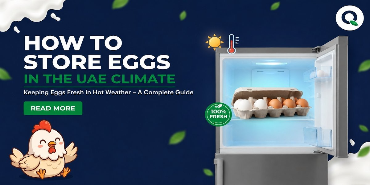 How Should You Store Eggs in the UAE Climate?